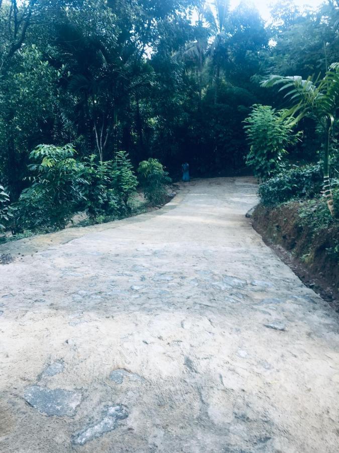 Desire Village Rakwana מראה חיצוני תמונה